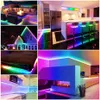 Paski LED Tuya Wi -Fi Neon Pasek Light 12V RGBIC Smart Strip Light WS2811 5050 RGB Chasing Elastyczna taśma Dream Kolor z Google Alexa J230308