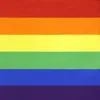 Partihandel Triangle Rainbow Flags Banner Polyester Metal Grommets hbt Gay Rainbow Progress Pride Flag Decoration DBC