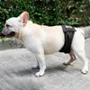 Vêtements pour chiens sous-vêtements pour chiens pratiques couches pour animaux de compagnie réutilisables pantalons bande élastique doux à la peau culotte sanitaire pour hommes