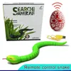 Chat jouets RC télécommande serpent pour chaton en forme d'oeuf contrôleur crotale interactif Teaser jouer jeu animal de compagnie enfant 230309