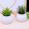 Decorative Flowers 2023 White Ceramics Potted Artificial Green Succulent Plants Bonsai Set Plastic Fake Flower With Vase Home Balcony