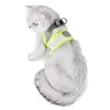 Collari per gatti Guinzagli Imbracatura per animali Traspirante Leggera Regolabile Forniture per passeggiate all'aperto di piccole medie dimensioni 230309