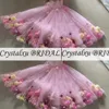 2023 Vestidos de bola de luxo Quinceanera vestidos ilusão rosa fora do ombro Tulle 3d Flores florais comprimento do piso Party baile de noite vestidos de noite imagem real