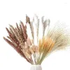 Decorative Flowers BMDT-70 Pieces Pampas Grass Dried Decoration Natural Plants