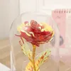 Party Favor LED Enchanted Galaxy Eternal Roses 24K Gold Foil Flowers With Fairy String Lights In Dome For Mother Valentine's Day Gift RRA1208