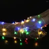 Stringhe 10pcs/lotto a spago a LED Filo di rame rame fata luci di ghirlanda per l'anno notturno decorazione per feste di vacanza 1m 2m 3m 5m