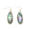 Bengelen oorbellen hyperbool lange waterdruppel abalone shell earring gefacetteerde hars charmes oorhaak bohemian moda vrouw feest sieraden cadeau