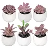 Fleurs décoratives 6 pièces plantes en pot artificielles Faux succulentes dans des Pots en céramique blanche pour chambre salle de bain bureau décor à la maison