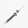 narghilè Mini nettare con punta in titanio Pen Style Nector Glass Straigh Tube Accessori per fumatori Tester per punte in vetro