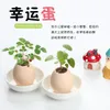 Decorative Flowers Novelty Green Potted Plant Radiation Protection Grass Lucky Egg Simulation Shell Small