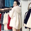 Femmes fourrure 2023 manteau d'hiver moyen long femme à capuche mince Imitation vison cheveux coréen femmes robe