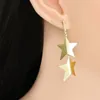 Dangle Earrings Star Design Gold Silver Plated Earring Punk Statement For Women 2023 Long Shape Party Ear Ring Wholesale