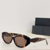 تصميم أزياء جديد Cat Eye Sunglasses 26zs أسيتات إطار بسيطة على الطراز المعاصر في الهواء الطلق UV400 حماية العين