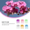 Trädgård levererar andra 60st Gardening Orchid-klipp rosformade växter Vine Support Clip