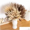 Couronnes De Fleurs Décoratives 5 Pcs Herbe De Blé Artificielle Faux Plante Arrangement De Jardin Décoration Naturelle Fête De Noël Su Dhjn8