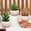 Decorative Flowers Artificial Succulent Bonsai Creative Ornaments For Home Table Garden Decoration Simulated Plants With Pot Decor Gift