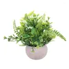 Fleurs décoratives Bonsai SImulation Fake Plantes artificielles Home-Decoration Pography Wedding Staff