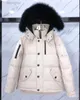 Heren Down Parkas Casual Mens Jacket Outwear Doudeoune Man Winterjas knoppen Warme kleding S-XXL 1 JZX1