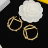 Designer Hoop Earrings For Womens Gold Earring Luxury Jewelry Woman Coloured Diamonds Earing Stud Dangle Fashion Hoops Earrings F 2303112D