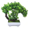 Декоративные цветы искусственное растение Bonsai полумесяц