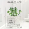 Decorative Flowers Succulent Simulation Small Sword Grass Bergamot Lotus Meaty Plant Potted Place Glass POTS Much Store Props