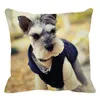 Oreiller mignon Animal couvre Schnauzer 45x45cm carré jeter taie d'oreiller taie d'oreiller décor à la maison oreillers cas