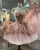 Party Dresses Spaghetti Strap Crystals Beaded Lush Fluffy Tulle Ball Gown KneeLength Evening Dress Baby Pink Prom 3D Floral Pattern 230310