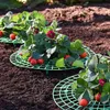 Tuinbenodigdheden Overige 5/10 Pack Aardbei Ondersteunt Planten Fruitstandaard Groentenkweekrek Gereedschap Voor Het Beschermen Van Wijnstokken Vermijd Grond