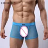Underpants Cockcon Transparent Men Panties Mesh Boxers Shorts Sexy Erotic Underwear Penis Pouch Gay Fishnet See Shrough Lingerie Male