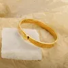 Bangle Romeinse cijfers roestvrij staal vergulde hoogwaardige brief klassieker voor vrouwen mannen trendy mode -sieraden