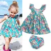 Abiti da ragazza Summer Lovely Little Girls Dress Infant Ruffle Floral Baby Clothes Set di abiti prendisole e slip