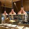Kolye lambaları Mutfak Büfe Isı Lambası Elektrikli Gıda Koruma Işığı Ayarlanabilir Armatürler Restoran