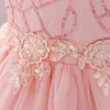 Abiti da ragazza Abito da ballo per feste di compleanno per bambini Abito da bambina in pizzo con paillettes Tulle rosa Battesimo Principessa nata Bambini Battesimo 1 anno