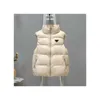 디자이너 여성 조끼 재킷 슬립 벨리즈 후드 우드 겉옷 코트 패션 클래식 클래식 레터 레벨 리버 여성 재킷 코트 매트 슬림 아웃웨어 코트 크기 S-L