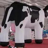 Mucche da latte olandesi gonfiabili giganti personalizzate da 8/10/13/16 piedi per la pubblicità fabbricate in Cina