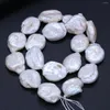 Chaînes collier de perles d'eau douce naturelle Baroque disque irrégulier d'eau douce perles pour femmes bijoux fête Banquet cadeau
