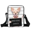 Sacs de soirée mignon chien Chihuahua imprimer sac à bandoulière femmes sacs à main dames Kawaii bandoulière filles messager petite sacoche Bookbag cadeau soirée