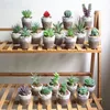 Decorative Flowers Artificial Succulent Plants Flower Bonsai Simulation Plant Set Home Wedding Decor Office Landscape Arrangement