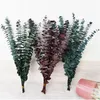 Decoratieve bloemen kransen eucalyptus groen rood donkerblauw gedroogde bloemen ronde bladeren ongeveer 35 cm lange rustieke slaapkamerdecoraties 10 stks/lot boeket 230313