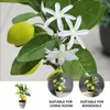 Flores decorativas grinaldas plantas de árvore artificial em vasos de bonsai pequenos limões amarelos falsos Decoração
