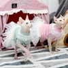 Disfraces de gato Ropa de esfinge para verano Vestido de princesa de encaje fino Falda para mascotas Lindo gatito Vestidos de gatito