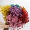 Decoratieve bloemen kransen kristal gras bewaard gebleven bloemenboeket natuurlijke gedroogde rode roze roze droge bloem thuis trouwkantoor moderne huisdecoratie 230313