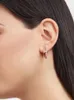 Charm Europe och Americas Full Diamond Snake Shaped Earrings 925 Silver Goldplated Luxury Womens Fashion Märke smycken gåvor 230313