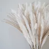 Decorative Flowers Wreaths 70 Stems/Bunch Pampas Flower Arrangement Wedding Dried Flower Bouquets Aesthetic Pampas Grass Bedroom Coffee Table Decoration 230313