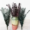 Decoratieve bloemen kransen eucalyptus groen rood donkerblauw gedroogde bloemen ronde bladeren ongeveer 35 cm lange rustieke slaapkamerdecoraties 10 stks/lot boeket 230313