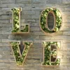 装飾的な花永遠のモスグリーン植物壁芝生の装飾DIYマイクロランドスケープガーデンマルチカラーオプションの手作りフラワーボックス