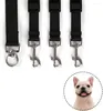 Colarinhos de cachorro colarinho nylon gato chumbo filhote de cachorro correndo para cães ao ar livre pequenos animais de estimação corda