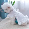 Hundklädflickor klänning för hundar sommar vårprinsessan fest saga tyll stor bowrot fjäril teddy kjolar xs s m l xl