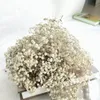 装飾的な花の花輪約40g/lot75g/ロットカラフルな不滅のジプソフィラフラワーズ