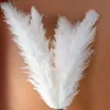 Decorative Flowers Wreaths White Pampas Grass Dried Flowers Fashion Home Decoration About 50-80cm Long Reed Flores Direct Deal 230313